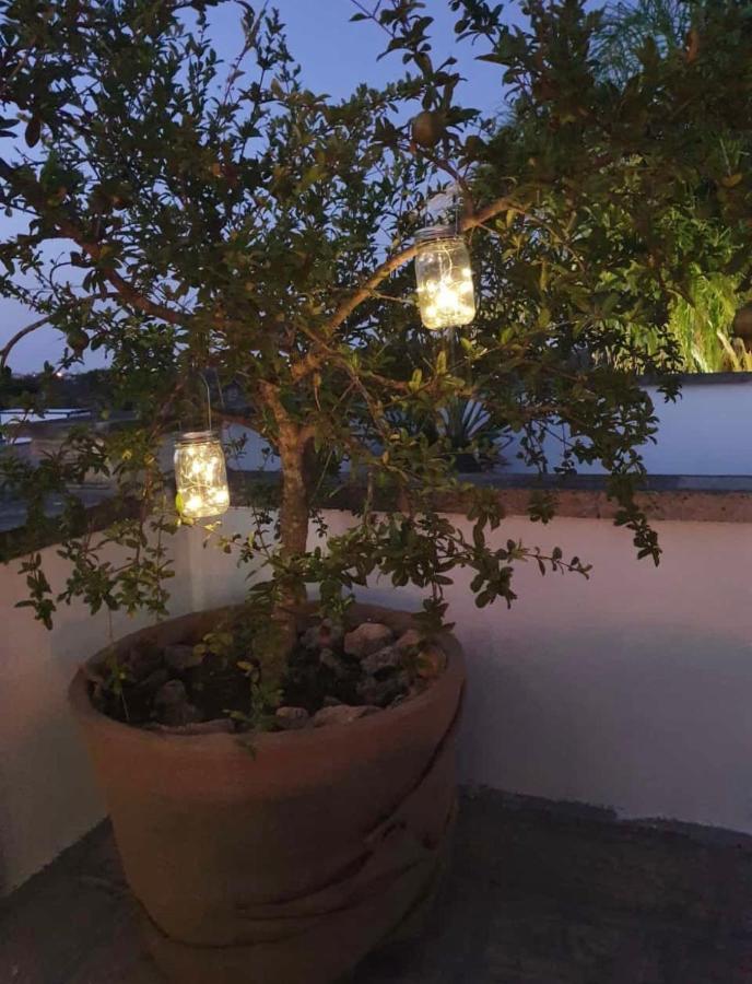 Prima Lux Daire Leverano Dış mekan fotoğraf