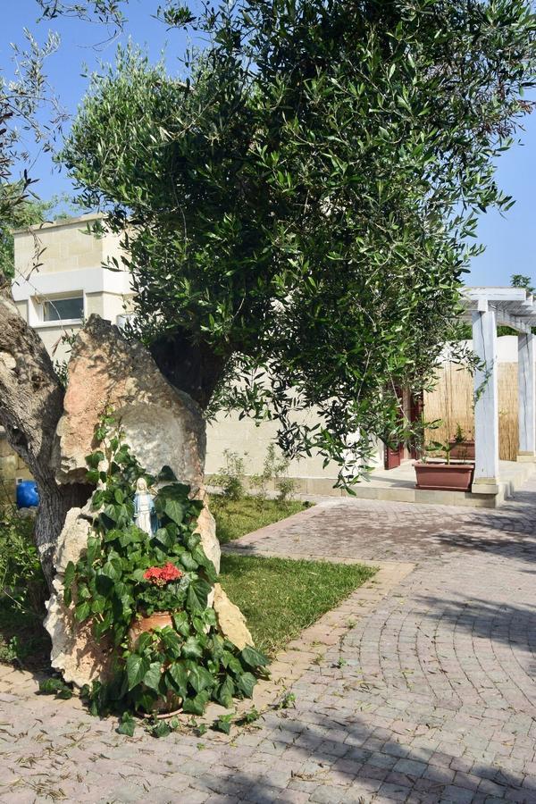 Prima Lux Daire Leverano Dış mekan fotoğraf